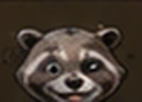 RACCOON RESERVE