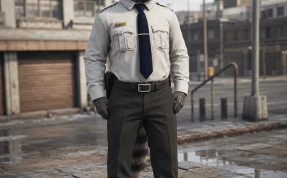 LSPD / Sheriff Long Sleeve Shirt [DLC] [FiveM]